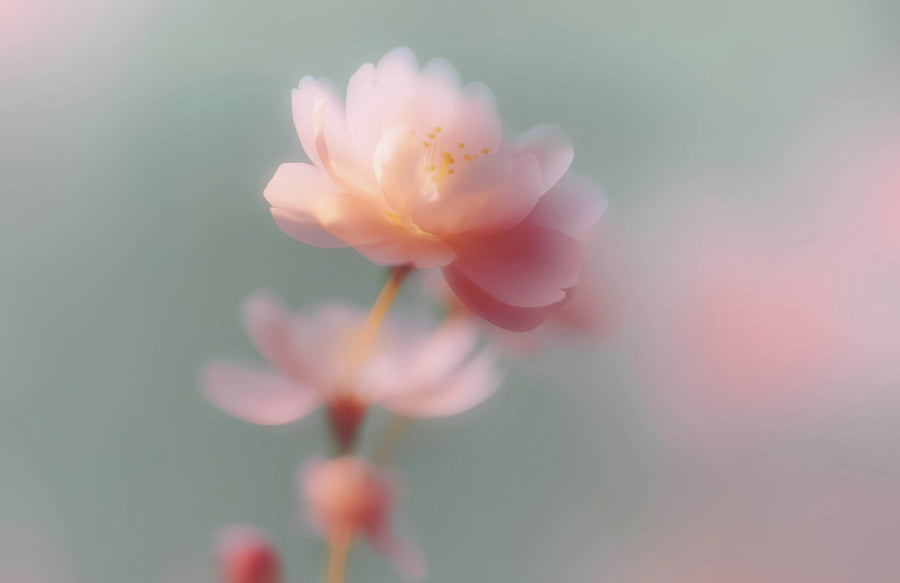 The thoughts we don't really talk about when you try to describe your pain