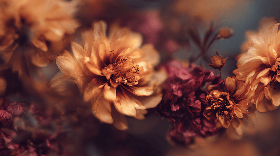 «And don't complain, you don't have cancer» or when endometriosis pain is minimized